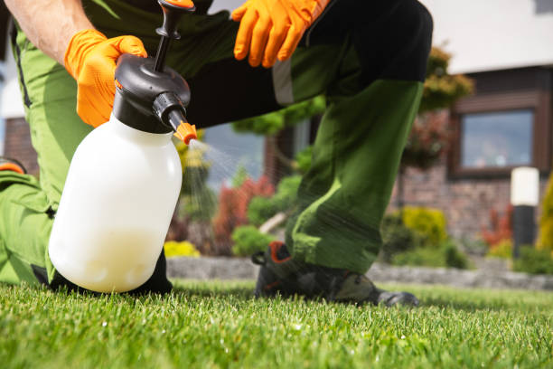 Best Bed Bug Extermination  in South Sarasota, FL