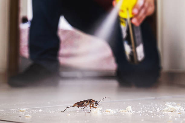 Best Pest Inspection Near Me  in South Sarasota, FL