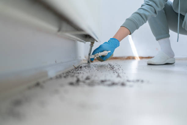 Best Pest Removal Services  in South Sarasota, FL
